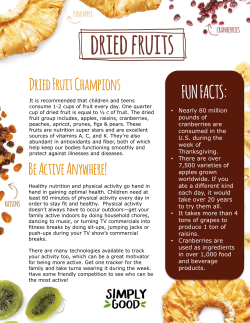 flyer - The Roeper Record