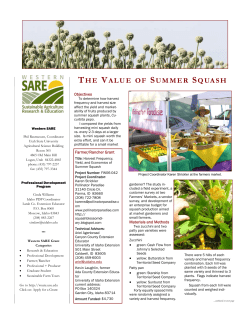 the value of summer squash - Sustainable Agriculture Research and