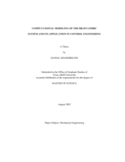 COMPUTATIONAL MODELING OF THE BRAIN LIMBIC