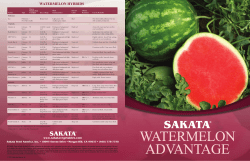 Sakata Watermelon Advantage Brochure