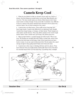 Camels Keep Cool - Continental Press