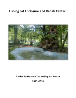 Fishing cat Enclosure and Rehab Center