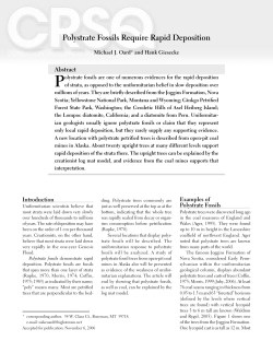 PDF of article - The Creation Research Society