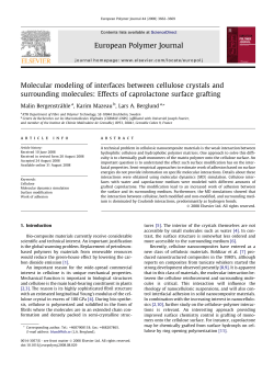 Molecular modeling of interfaces between cellulose crystals