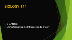 An Introduction to Energy