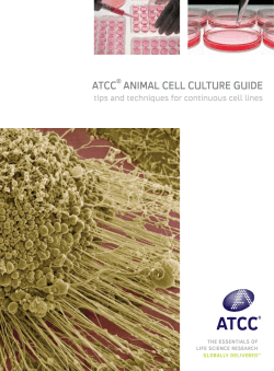 ATCC ANIMAL CELL CULTURE GUIDE
