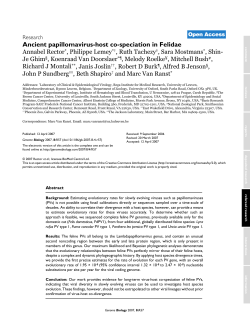 Ancient papillomavirus-host co-speciation in Felidae