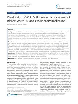 Distribution of 45S rDNA sites in chromosomes of plants: Structural