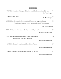 PGDEM-01