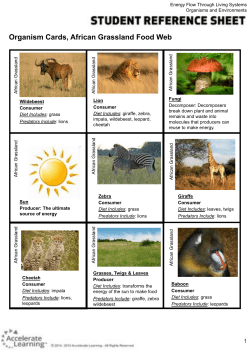 Organism Cards, African Grassland Food Web