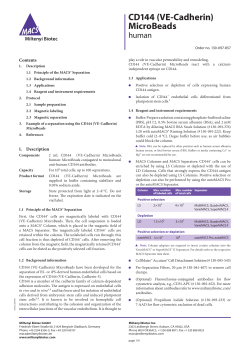 CD144 (VE-Cadherin) MicroBeads
