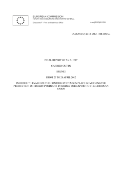 final report of an audit carried out in brunei from 25 to 28 april 2012
