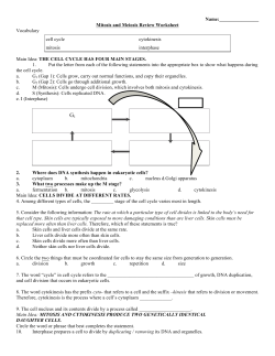 Mitosis and Meiosis Review Worksheet
