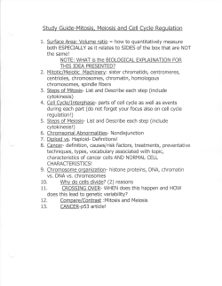 Study Guide-Mitosis and Meiosis