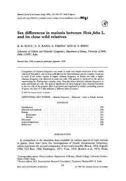Sex differences in meiosis between Vicia faba L. and its close wild