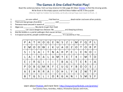 The Games A One-Celled Protist Play!