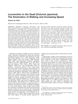 Journal of Morphology. 243:173-185.