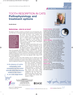 TOOTH RESORPTION IN CATS Pathophysiology and