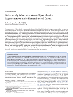Behaviorally Relevant Abstract Object Identity Representation in the