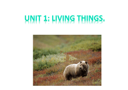 3. cells. - IES Gabriela Mistral