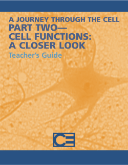Cell Functions: A Closer Look
