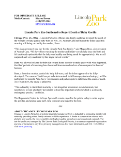 Lincoln Park Zoo Saddened to Report Death of Baby Gorilla