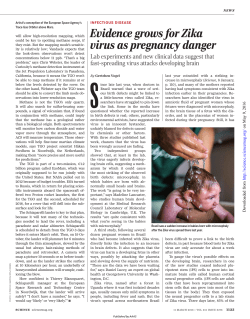 Evidence grows for Zika virus as pregnancy danger