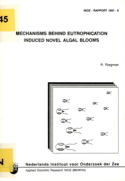 mechanisms behind eutrophication induced novel algal blooms