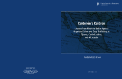 Calder&oacute;n`s Caldron - Brookings Institution