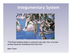 Integumentary System