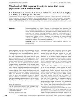 as a PDF