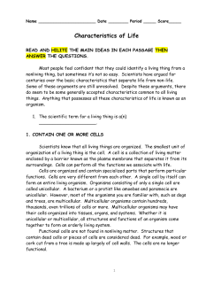 2.05_Characteristics of Life Review Worksheet