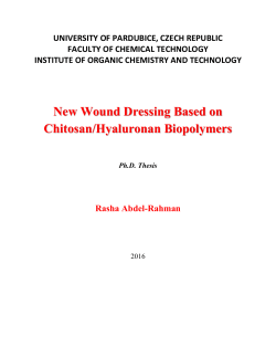 New Wound Dressing Based on Chitosan/Hyaluronan Biopolymers