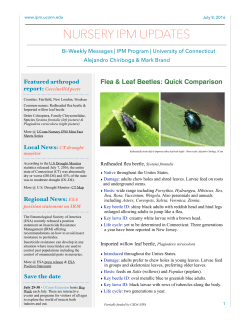 nursery ipm updates - UConn IPM