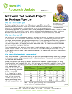 Mix Flower Food Solutions Properly for Maximum Vase Life