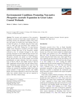 Environmental Conditions Promoting Non