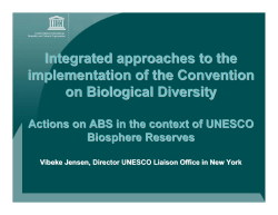 Presentation by Ms. Vibeke Jensen