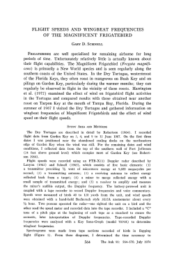 FLIGHT SPEEDS AND WINGBEAT FREQUENCIES OF THE