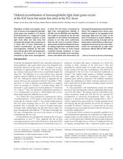 Ordered recombination of immunoglobulin light chain genes occurs