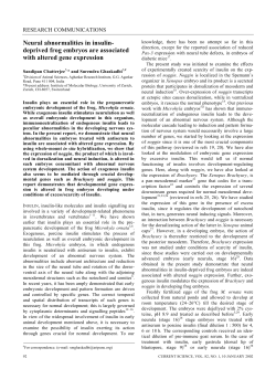 Neural abnormalities in insulin- deprived frog embryos