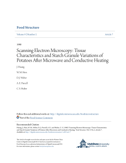 Scanning Electron Microscopy: Tissue Characteristics and Starch