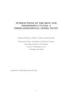 interactions of the iron and phosphorus cycles: a three