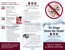 Program Brochure English