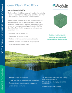 GreenClean&reg; Pond Block