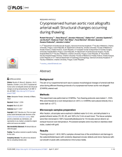 Cryopreserved human aortic root allografts arterial wall: Structural