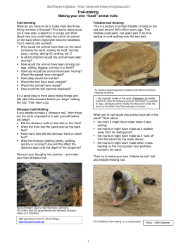 Trail-making - Earth Learning Idea