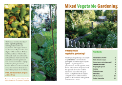 Mixed Vegetable Gardening - Permaculture Association