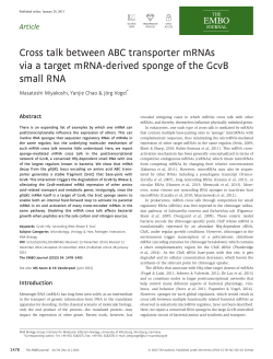 Cross talk between ABC transporter mRNAs via a target