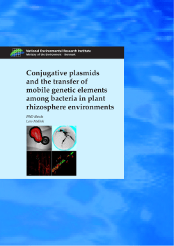 Conjugative plasmids and the transfer of mobile genetic elements