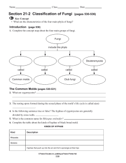 Section 21-2 Classification of Fungi (pages 530-536)